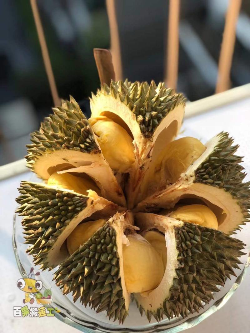 泰国果园榴莲，顺丰包邮到家