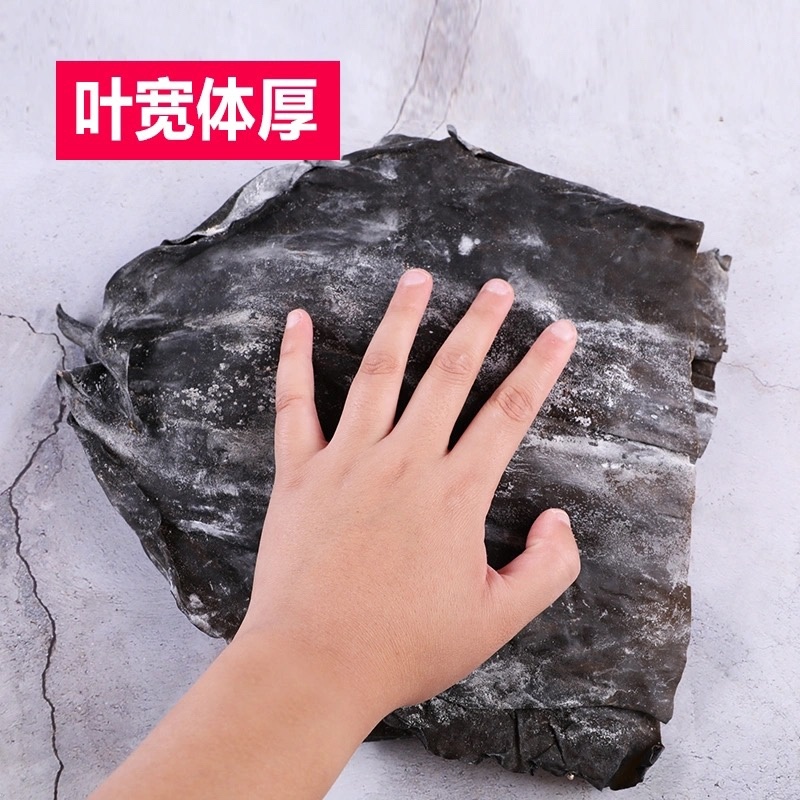 海带头海带皮半干海带头厂家直销低价批发