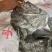 海带头海带皮半干海带头厂家直销低价批发