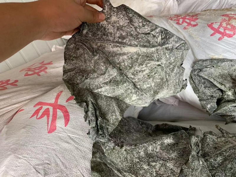 海带头海带皮半干海带头厂家直销低价批发
