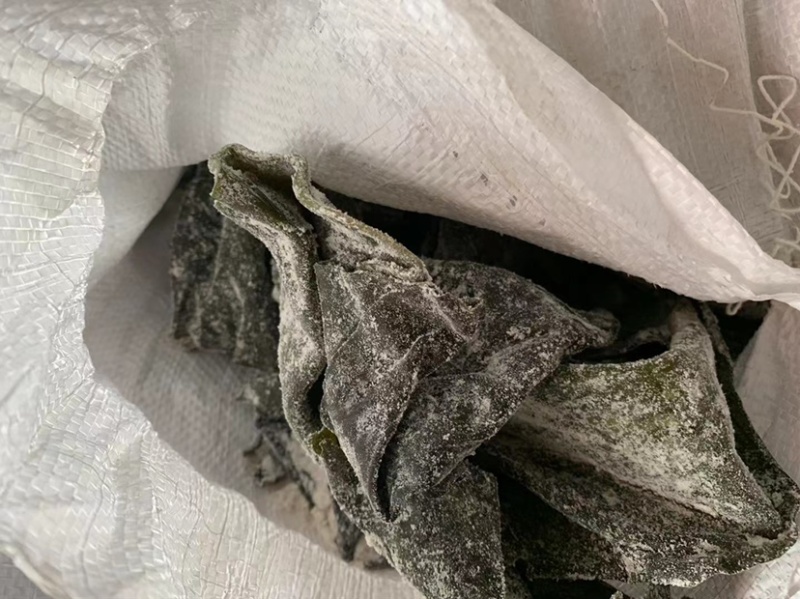 海带头海带皮半干海带头厂家直销低价批发
