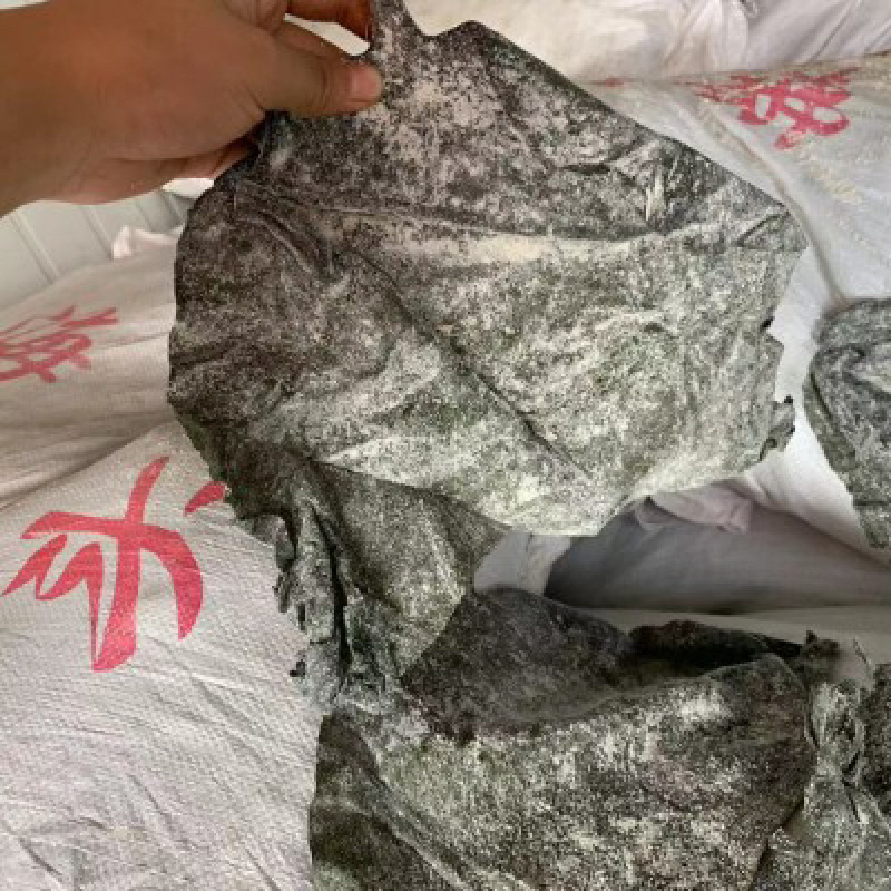 海带头海带皮半干海带头厂家直销低价批发