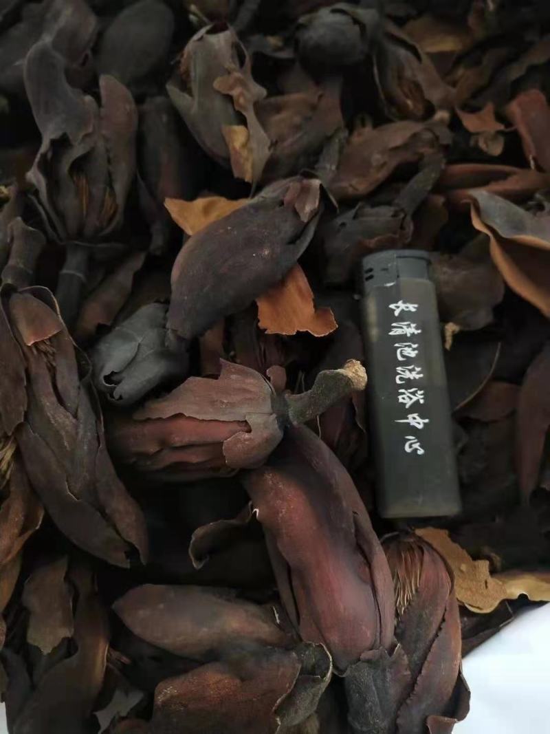 厚朴花四川1公斤起批无硫无添加不包邮只做正品