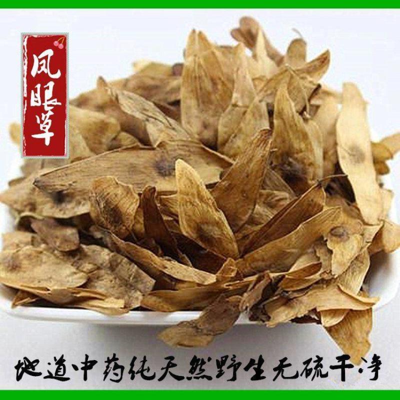 凤眼草椿荚凤眼子樗树凸凸樗树子臭椿子