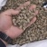 巴戟天广东1公斤起批无硫***不包邮全抽芯不包邮