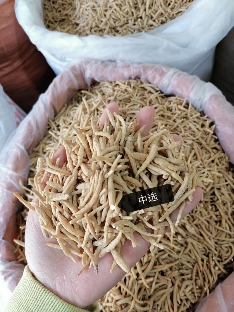 太子参孩儿参各种规格批发零售各种规格中药材
