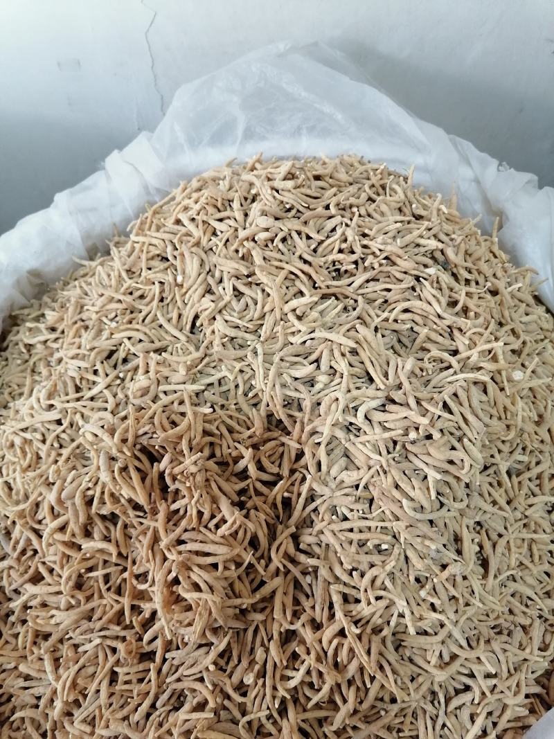 太子参孩儿参各种规格批发零售各种规格中药材
