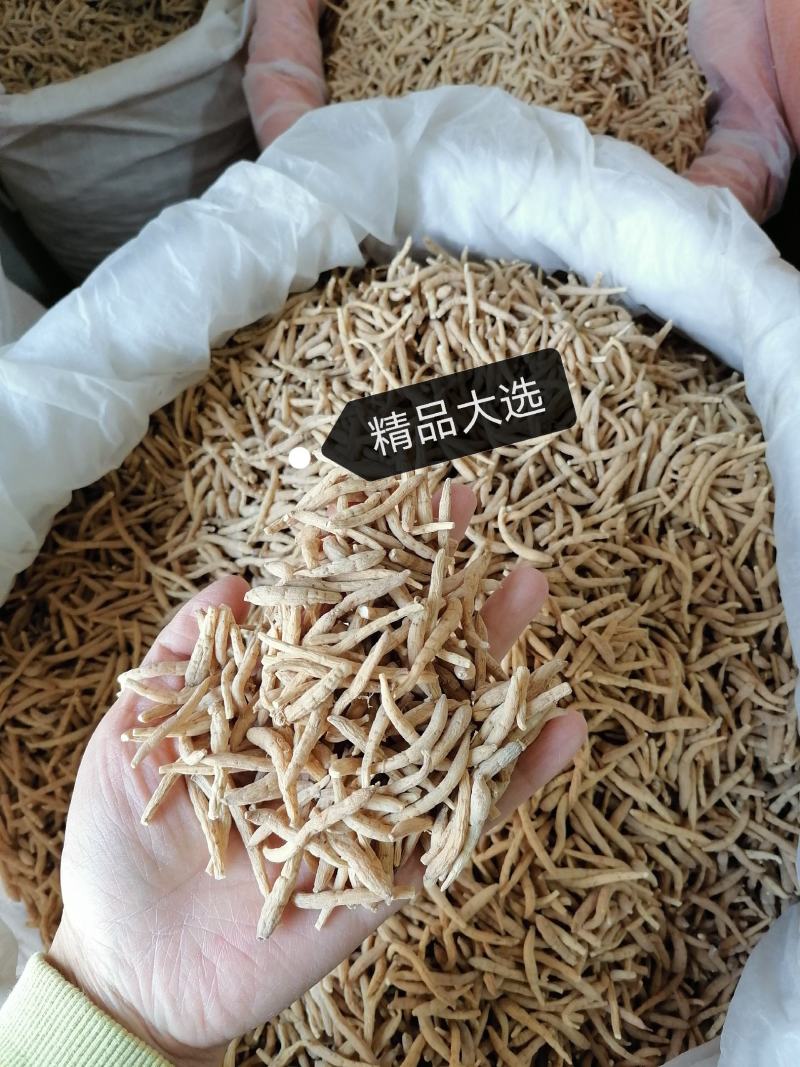 太子参孩儿参各种规格批发零售各种规格中药材