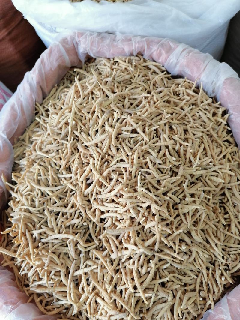 太子参孩儿参各种规格批发零售各种规格中药材
