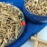 云南野生中药材白薇白微初级农产品散装包邮