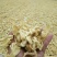 豆皮大豆耳豆制品跑江湖地摊门店蛋白素肉凉皮