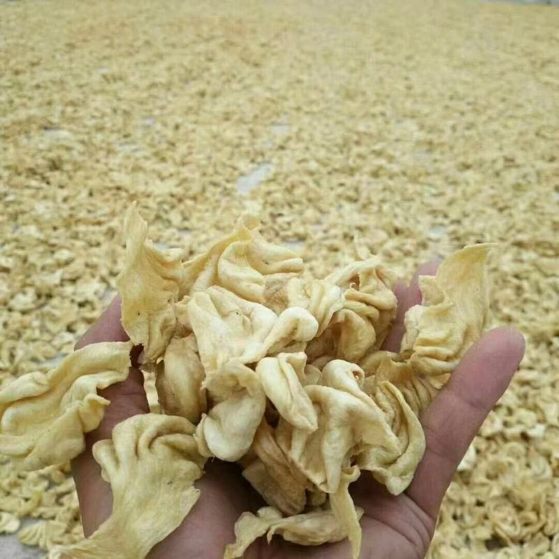 豆皮大豆耳豆制品跑江湖地摊门店蛋白素肉凉皮