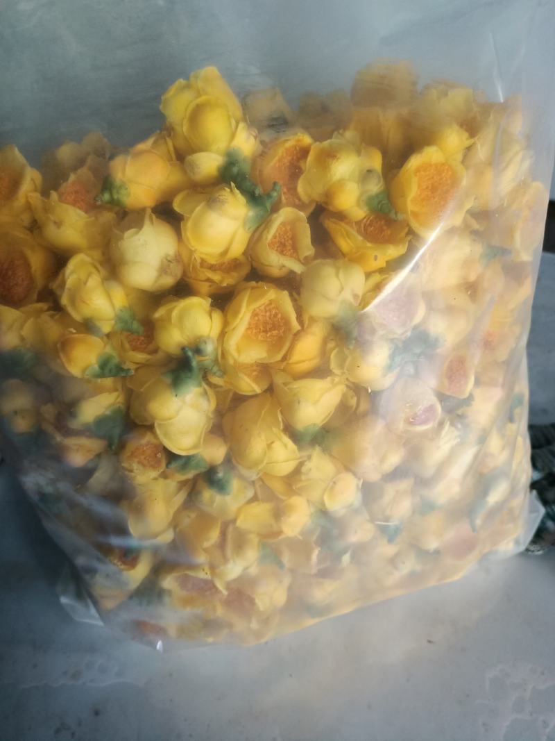 特价国宝金花茶冻干花