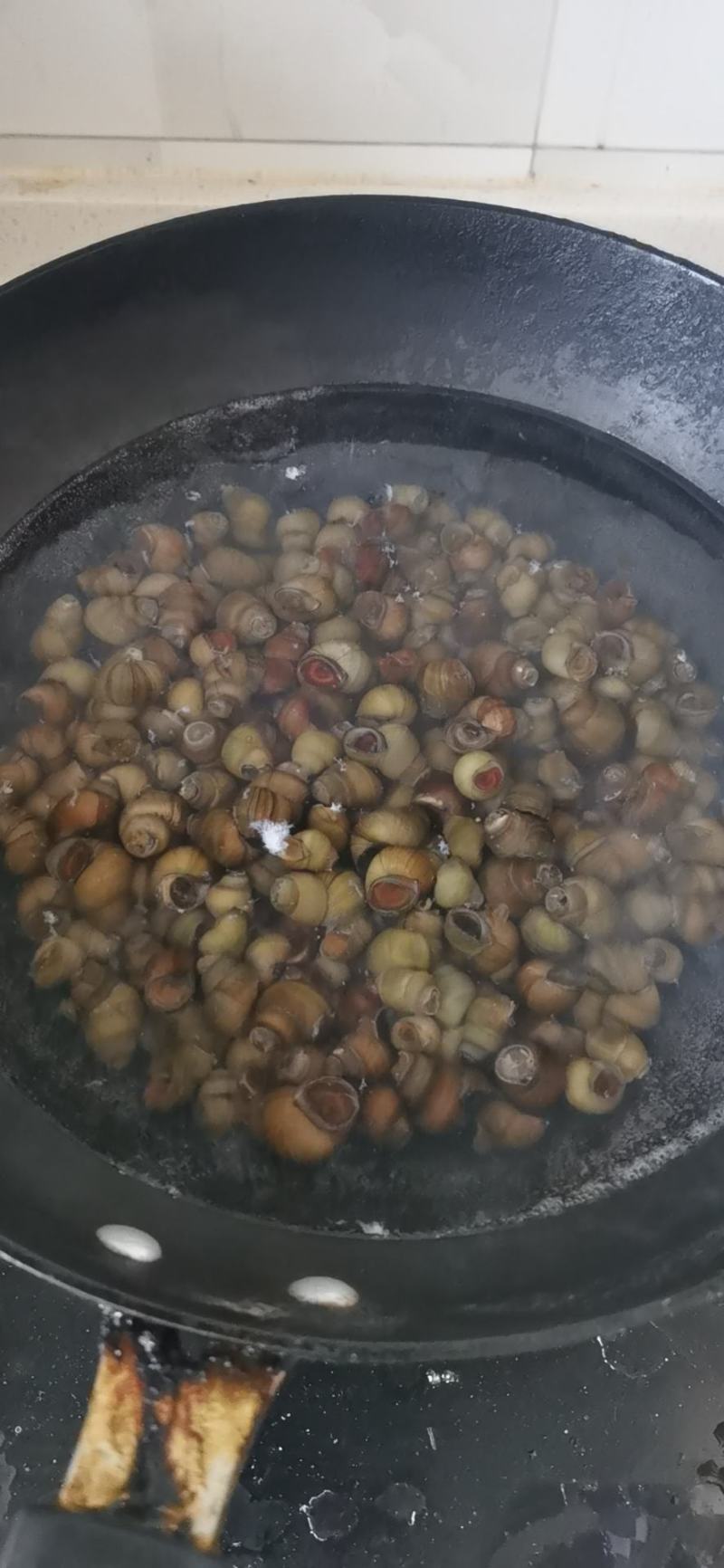 螺狮潮白河活水螺狮，大量优惠。日产量一万斤