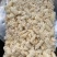 鲜嫩鱿鱼花目鱼花去皮鱿鱼卷新鲜鱿鱼花鲜冻海产品
