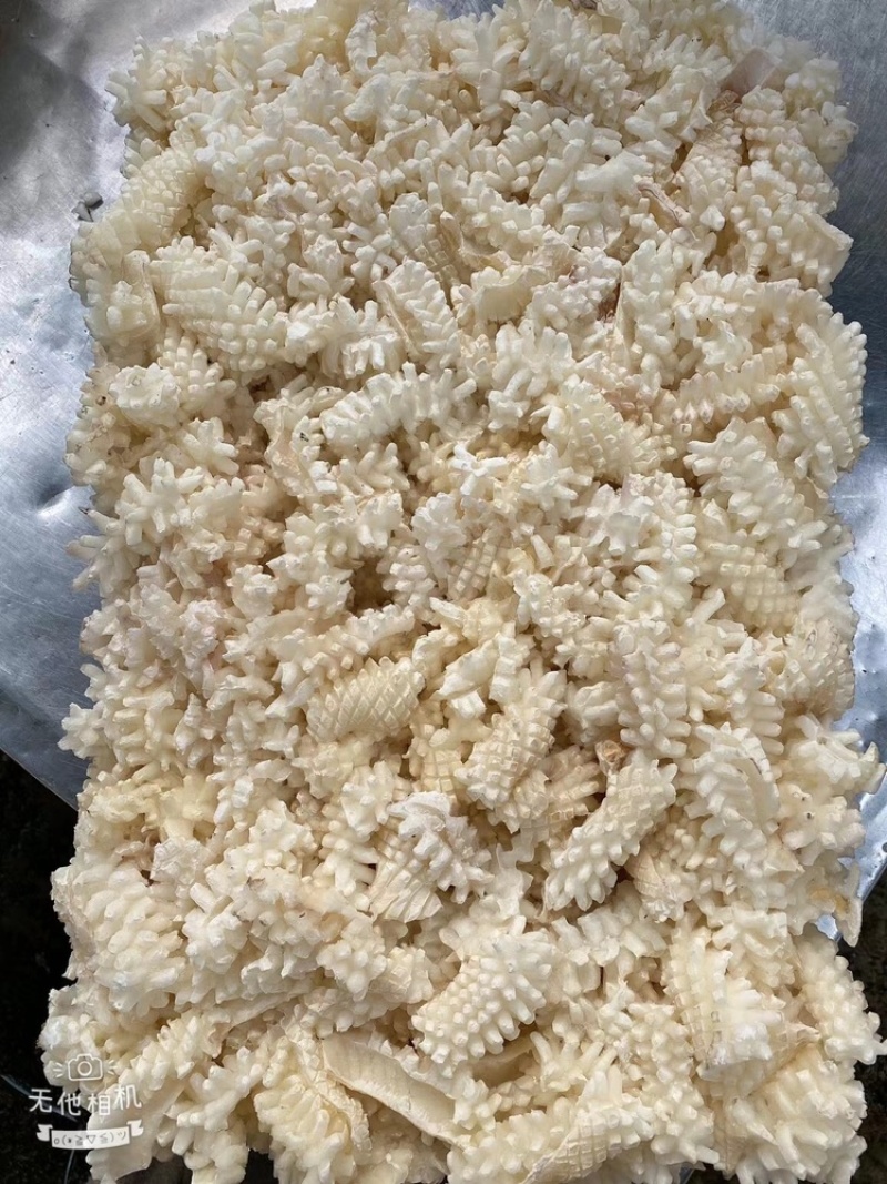 鲜嫩鱿鱼花目鱼花去皮鱿鱼卷新鲜鱿鱼花鲜冻海产品