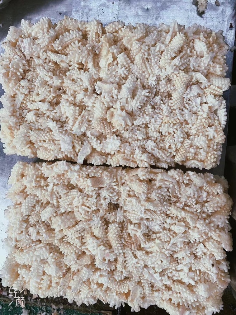 鲜嫩鱿鱼花目鱼花去皮鱿鱼卷新鲜鱿鱼花鲜冻海产品