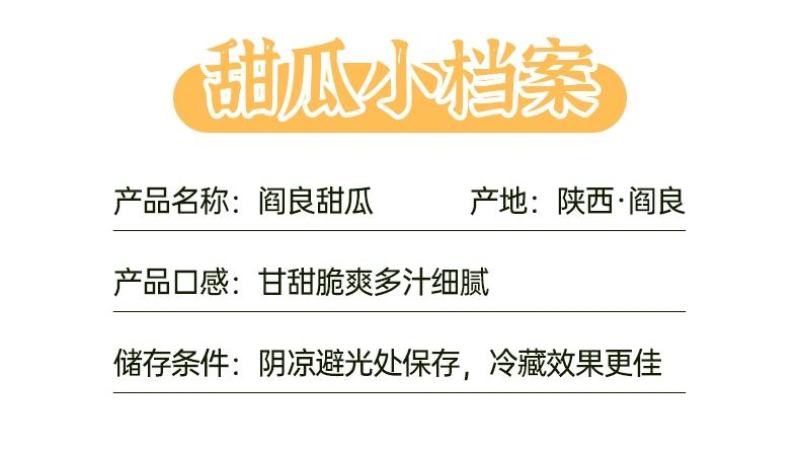 阎良小籽甜瓜产地直销欢迎全国批发商电商合作一件代发