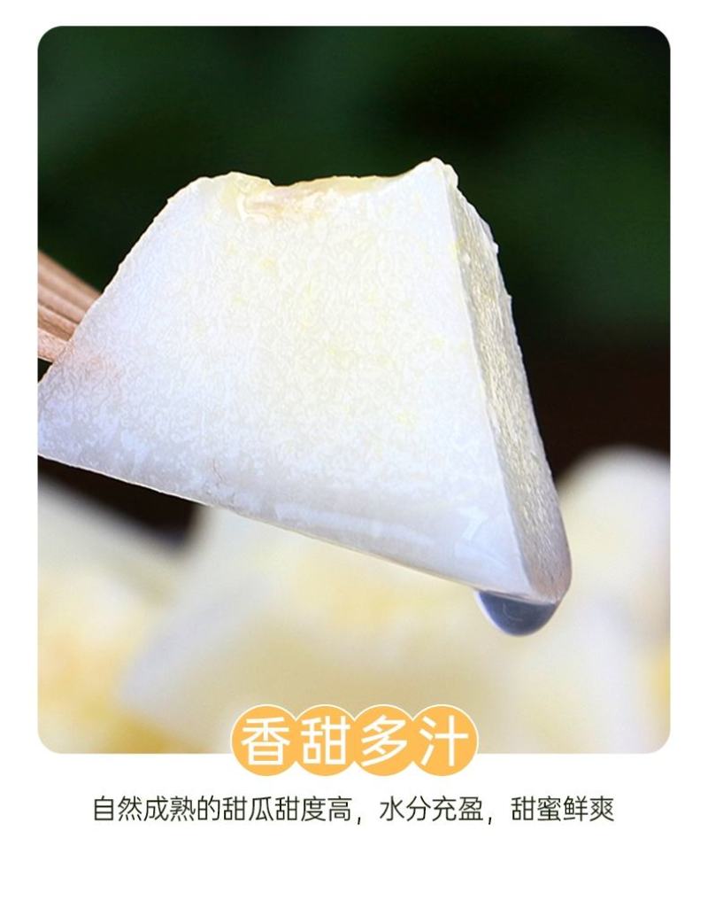 阎良小籽甜瓜产地直销欢迎全国批发商电商合作一件代发
