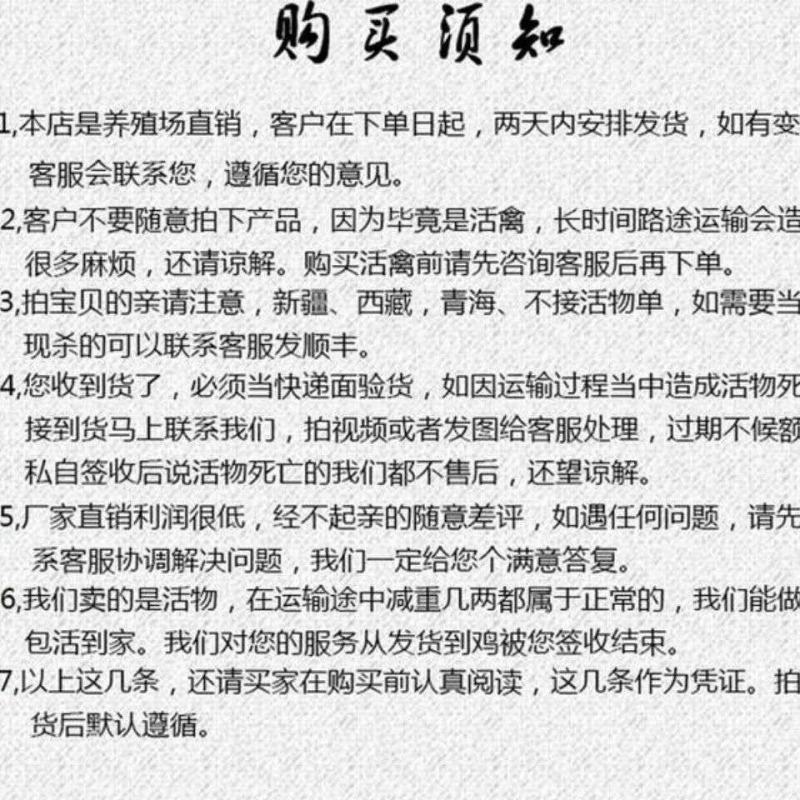 正宗九斤红公鸡散养活体三黄公鸡土鸡麻鸡量大优惠包活到家