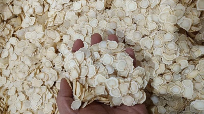 【万良参农批发】万良西洋参片500g规格全大量批发