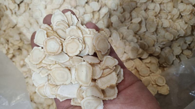 【万良参农批发】万良西洋参片500g规格全大量批发