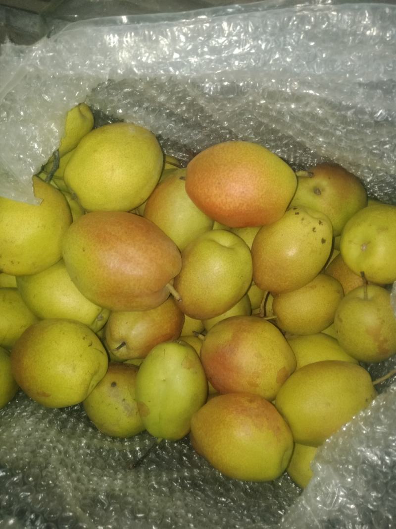 优质供应商，红香酥梨，价格便宜