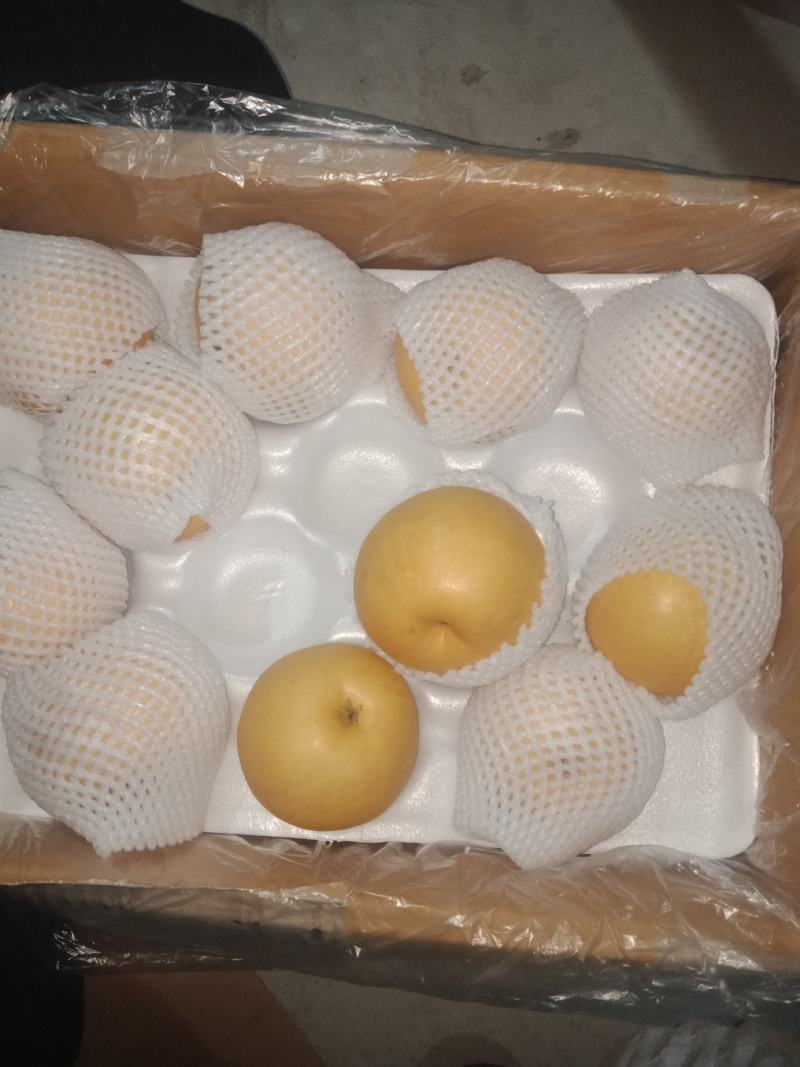 优质供应商，褐皮丰水梨，价格便宜