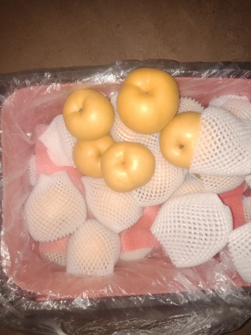 优质供应商，褐皮丰水梨，价格便宜