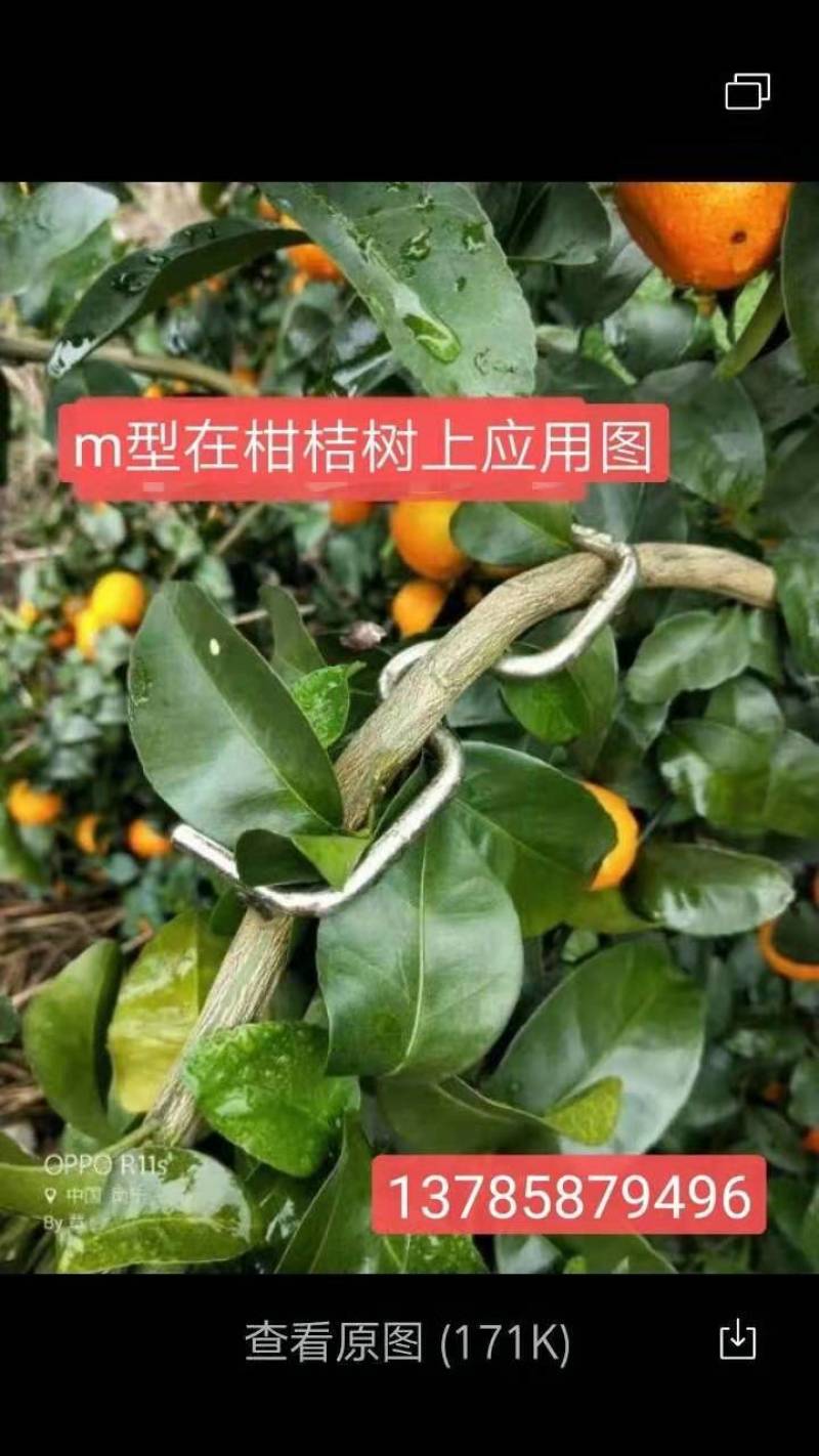 果树sm型别枝器压枝器弯枝器开角拉枝定型神器苹果柑橘石榴