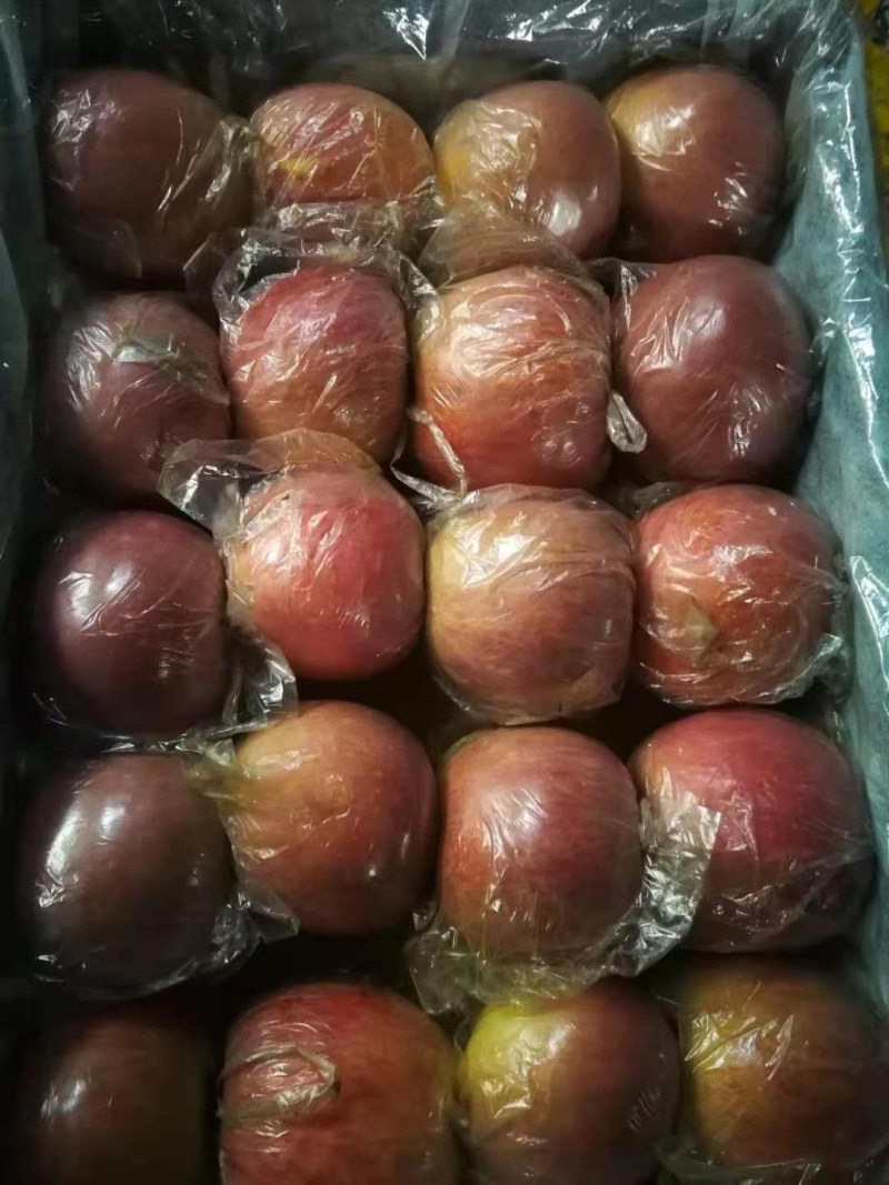 富士萍果便宜陪钱甩买