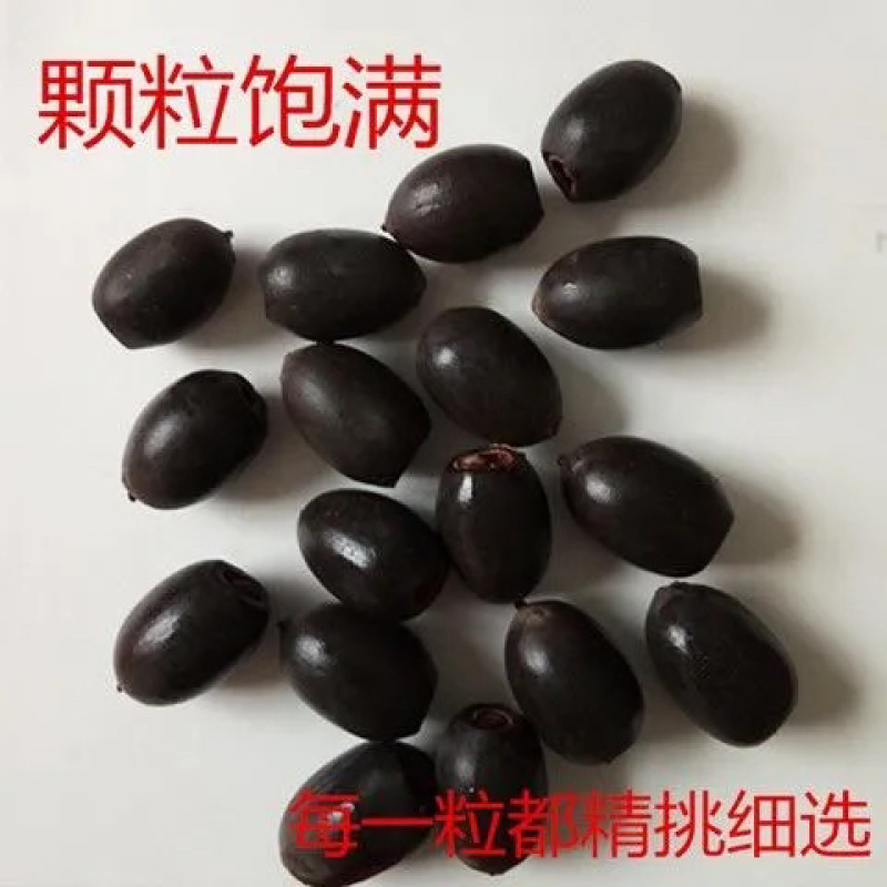 荷花睡莲花种碗莲种子盆栽水培绿植水培花卉种子四季播种