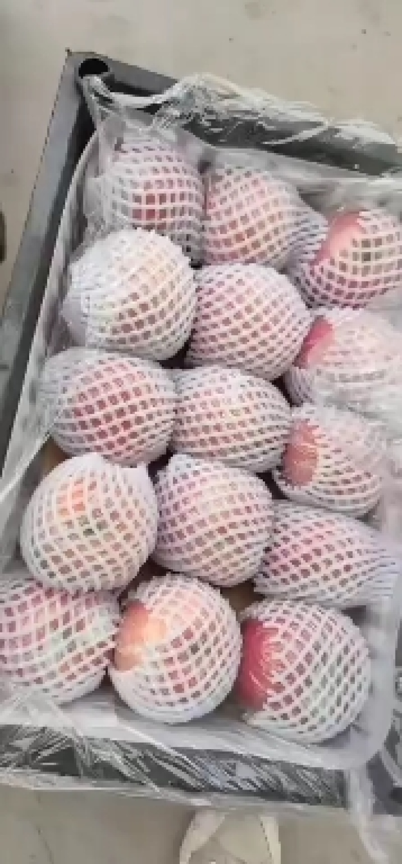 富士萍果特价处理膜袋纸加膜斗有
