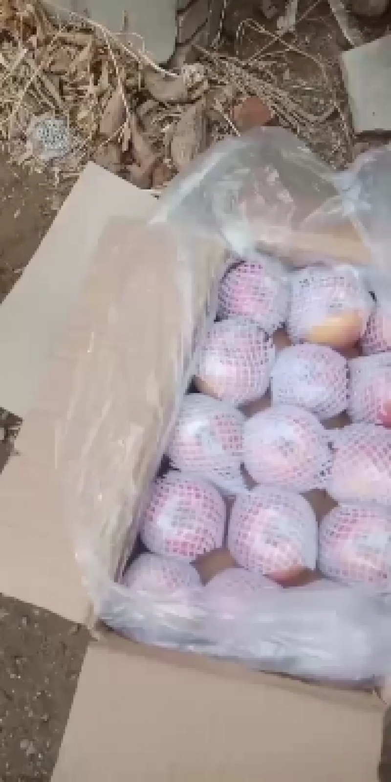 富士萍果特价处理膜袋纸加膜斗有