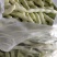 山东高密精品芸豆大量上市