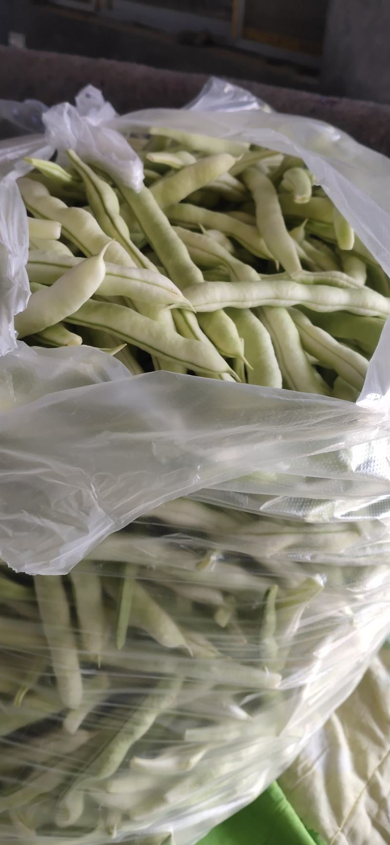 山东高密精品芸豆大量上市