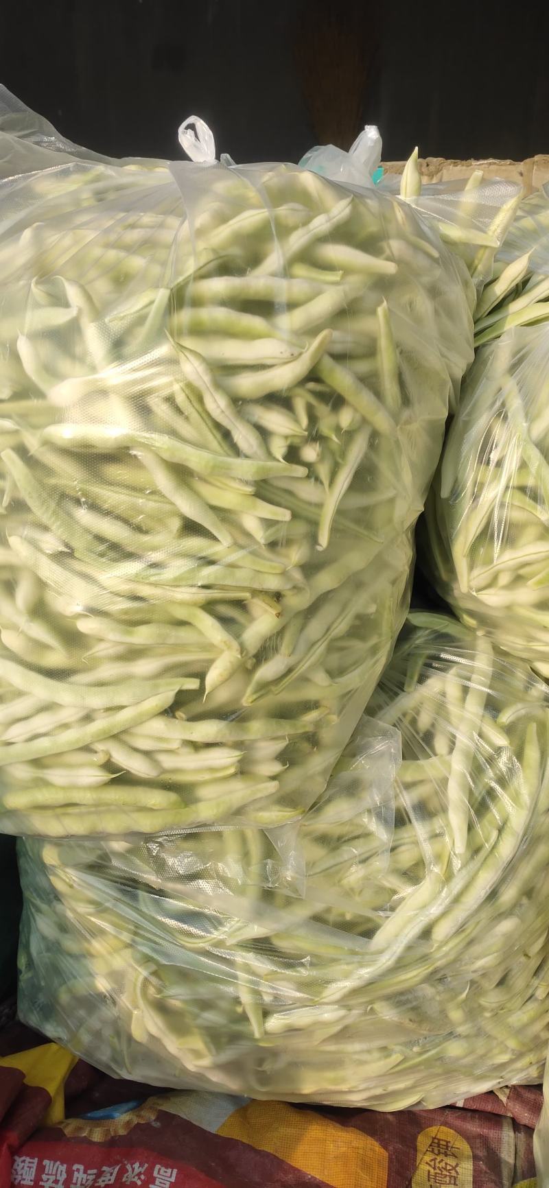 山东高密精品芸豆大量上市