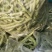 山东高密精品芸豆大量上市
