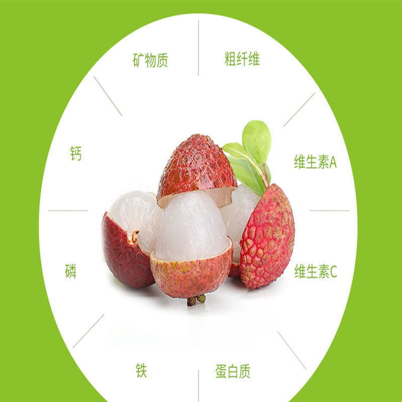 正宗]仙进奉荔枝树苗观音绿荔枝苗挂绿荔枝树苗带土球叶子