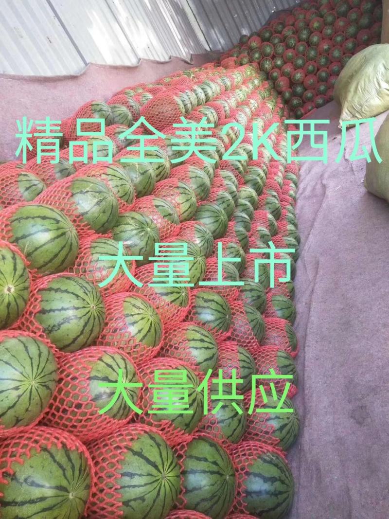 小糖丸西瓜，说的好不如做的好，天天为你实报真实西瓜价格