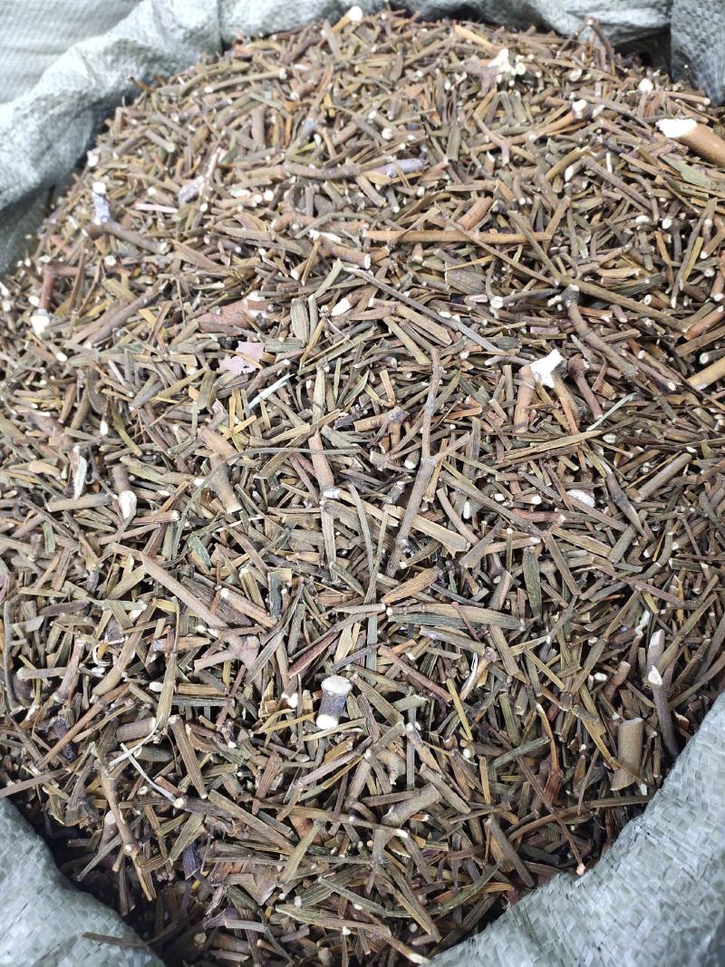 广西野生螃蟹脚桑树寄生茶一手货源，全国发货