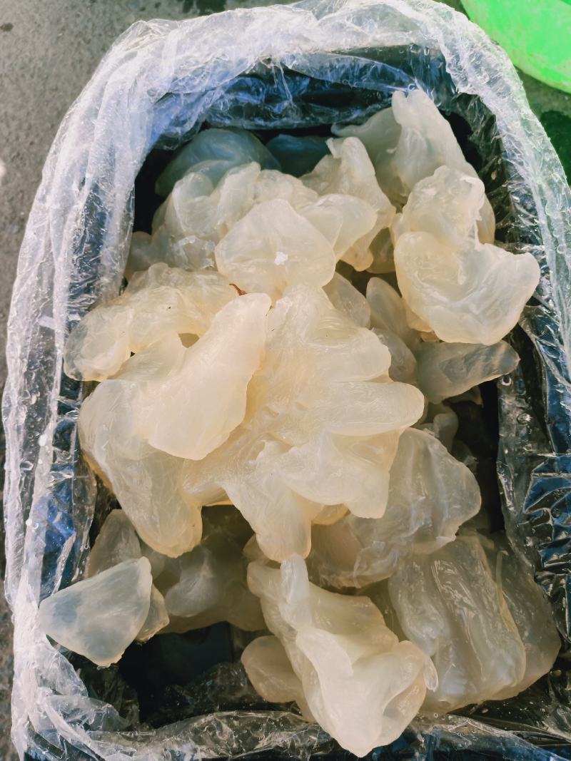 海蜇头海蜇丝产地直发大量现货可视频看货