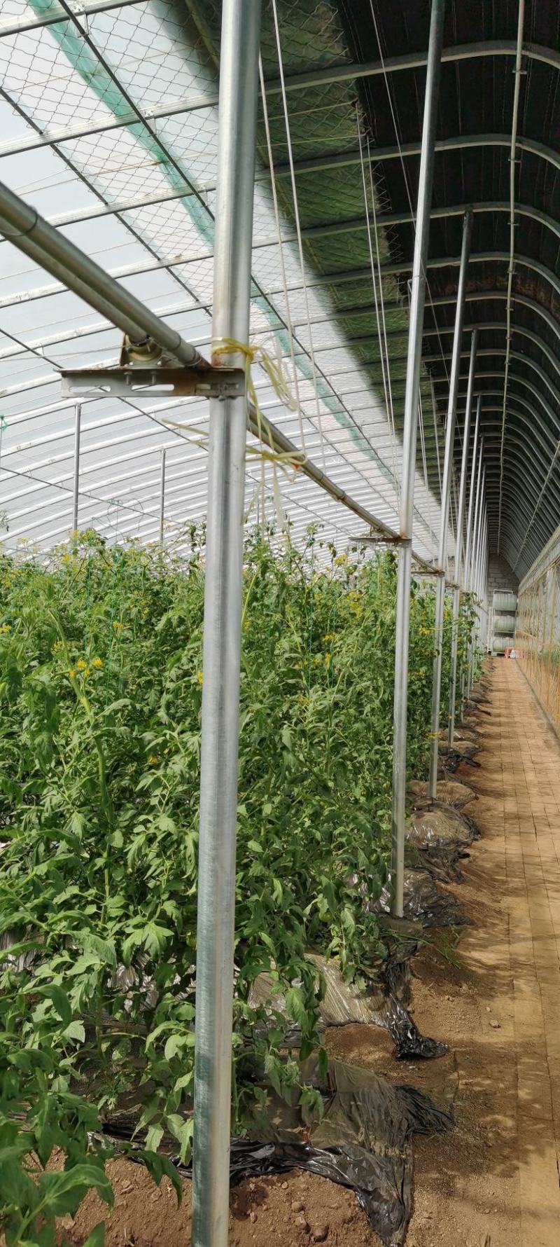 智能温控全自动放风机