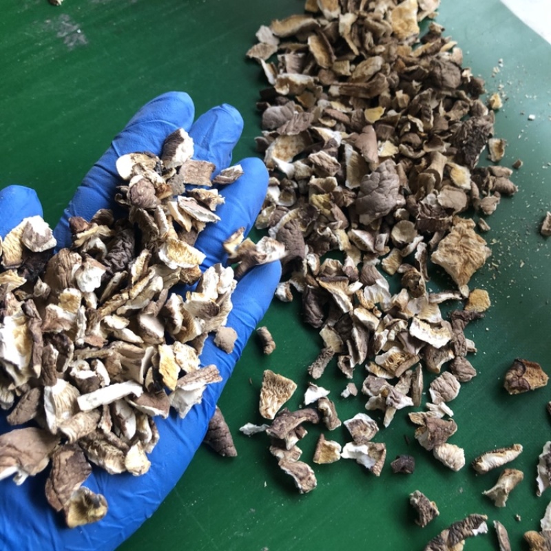 小香菇碎片干货河南产地食用菌农产品干香菇蘑菇菌菇批发