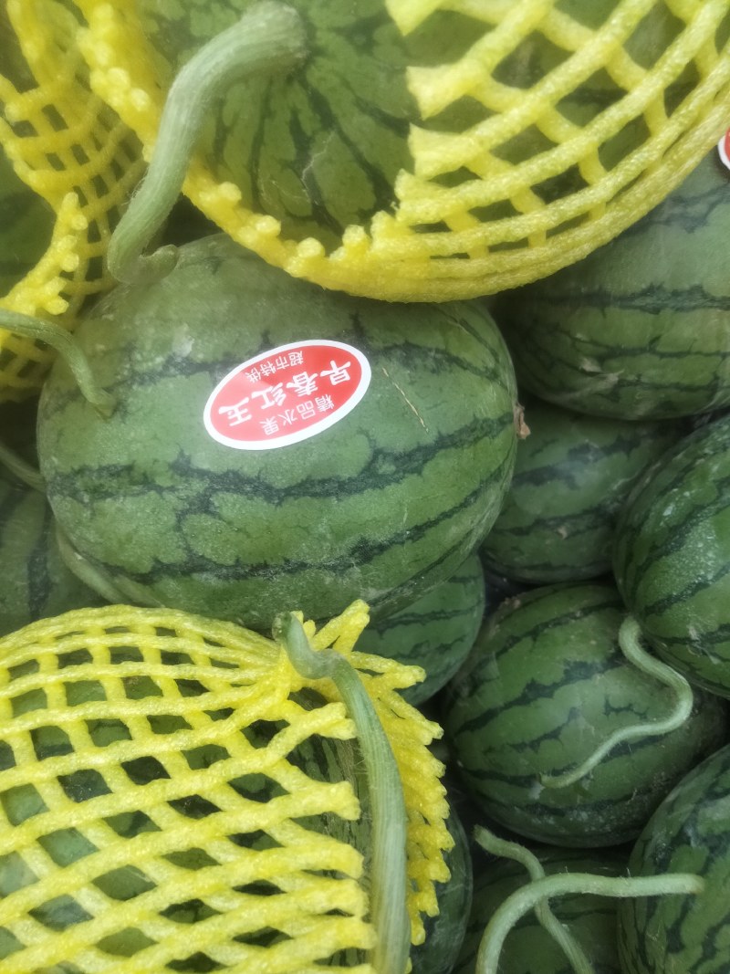 小糖丸，货源充足，皮薄汁多，口感脆甜，含糖量高包装齐全