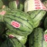 小糖丸，货源充足，皮薄汁多，口感脆甜，含糖量高包装齐全