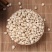 贝母平贝母产地直发货好正宗平贝母批发