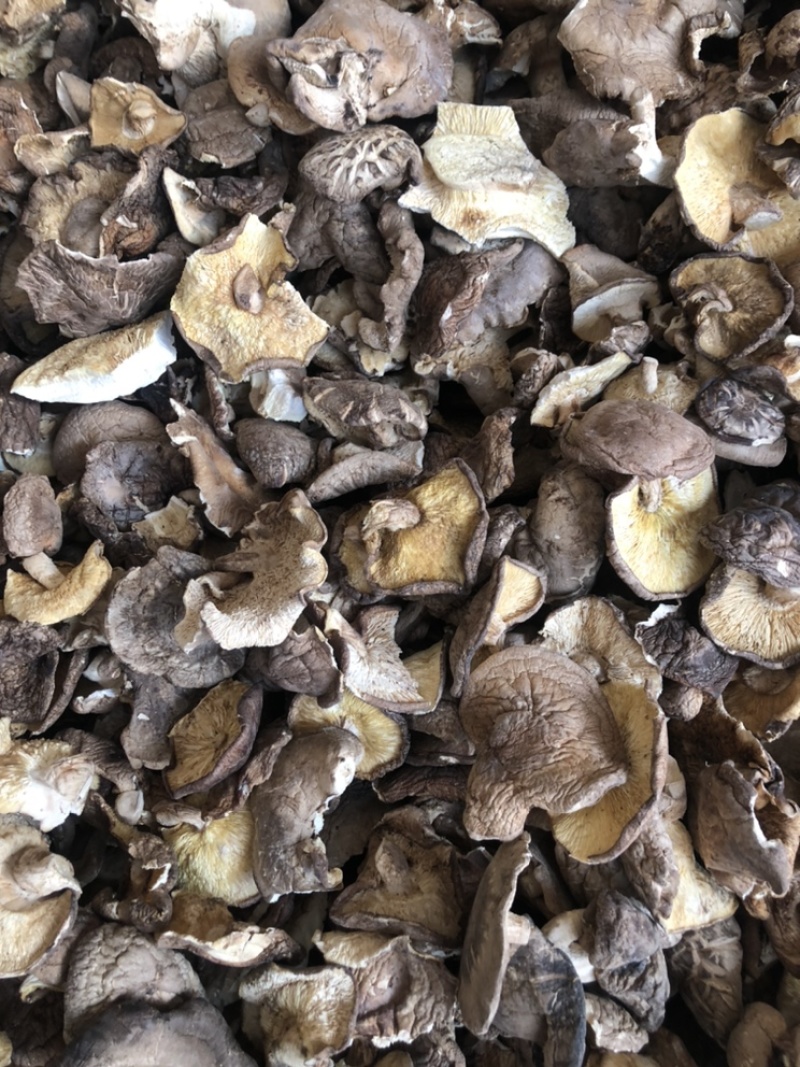 小香菇碎片干货河南产地食用菌农产品干香菇蘑菇菌菇批发