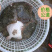 多宝鱼比目鱼冰鲜鱼质量好大菱鲆大量有货冷冻