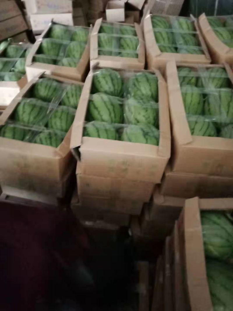 【精品】头茬早春红玉/大棚西瓜大量现货，甘甜多汁量大优惠